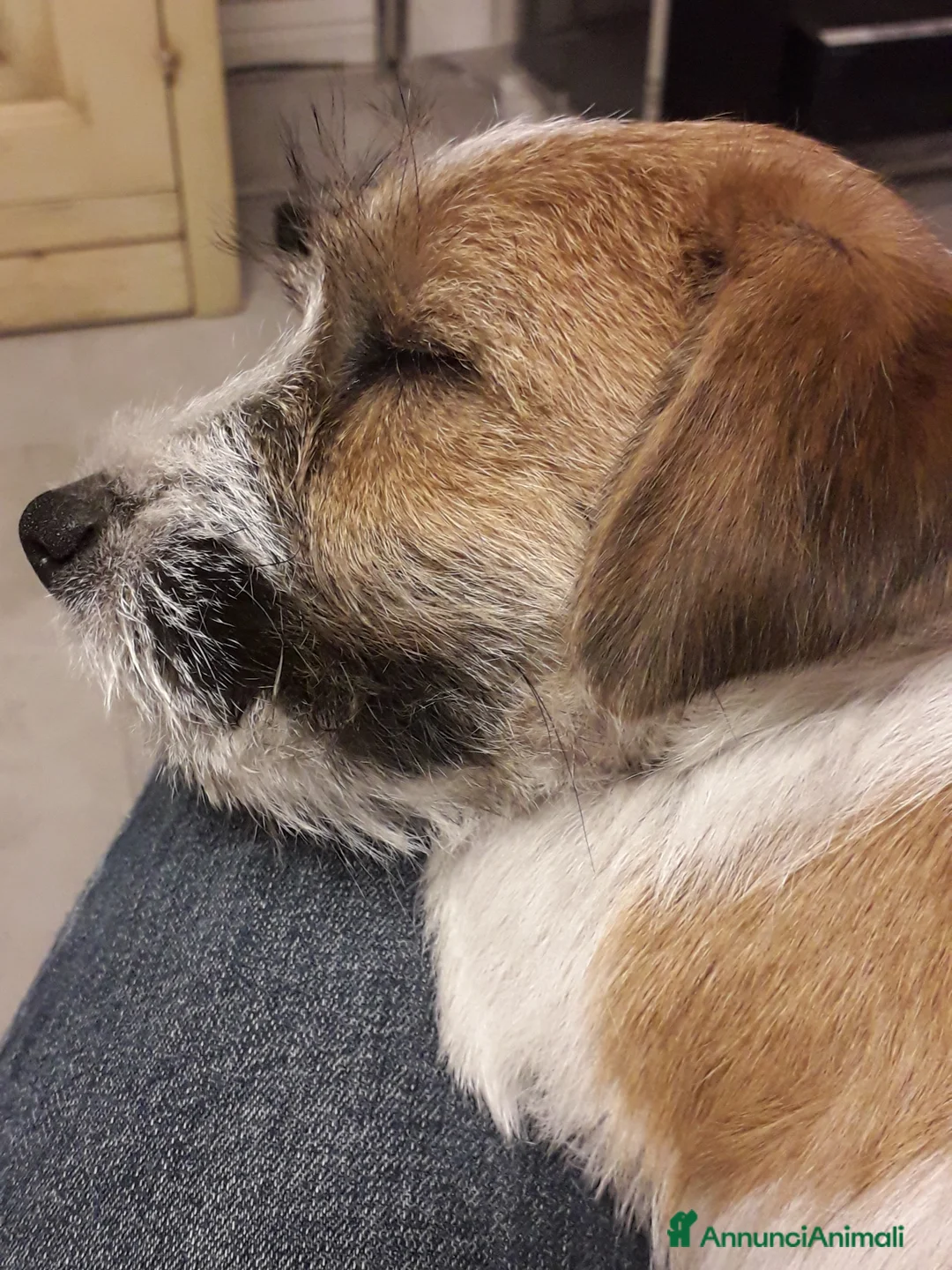 Immagine della galleria {{count}}