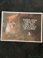 Corgi Pembroke Cucciolo 2