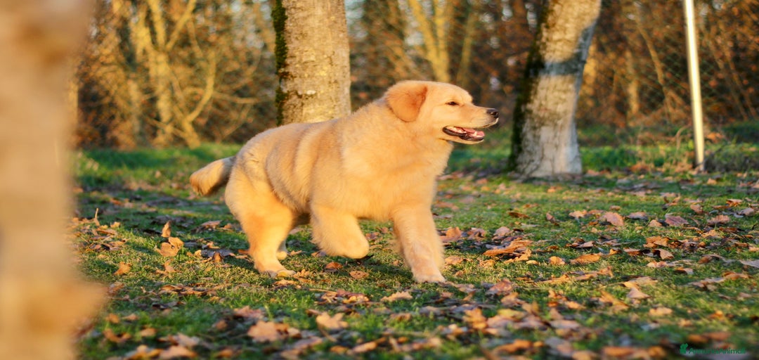 Immagine della galleria {{count}}