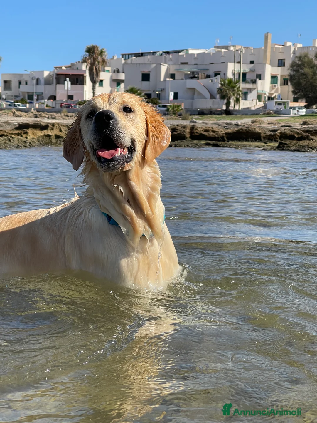 Immagine della galleria {{count}}