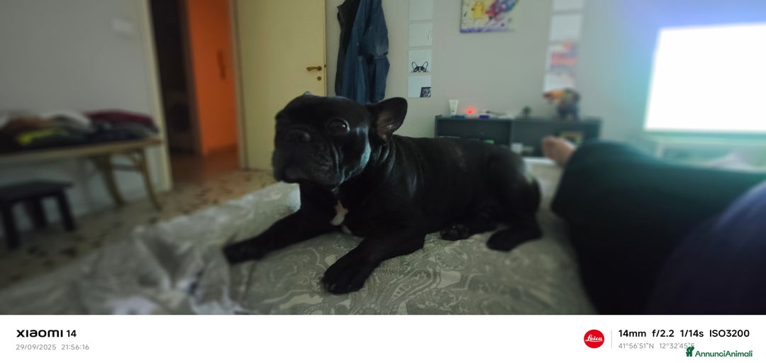 Immagine della galleria {{count}}