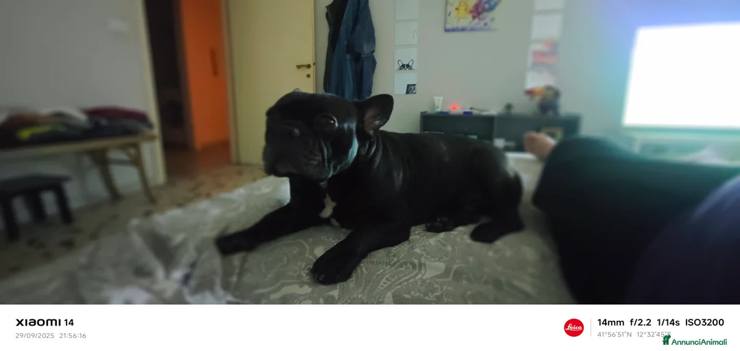 Immagine della galleria {{count}}