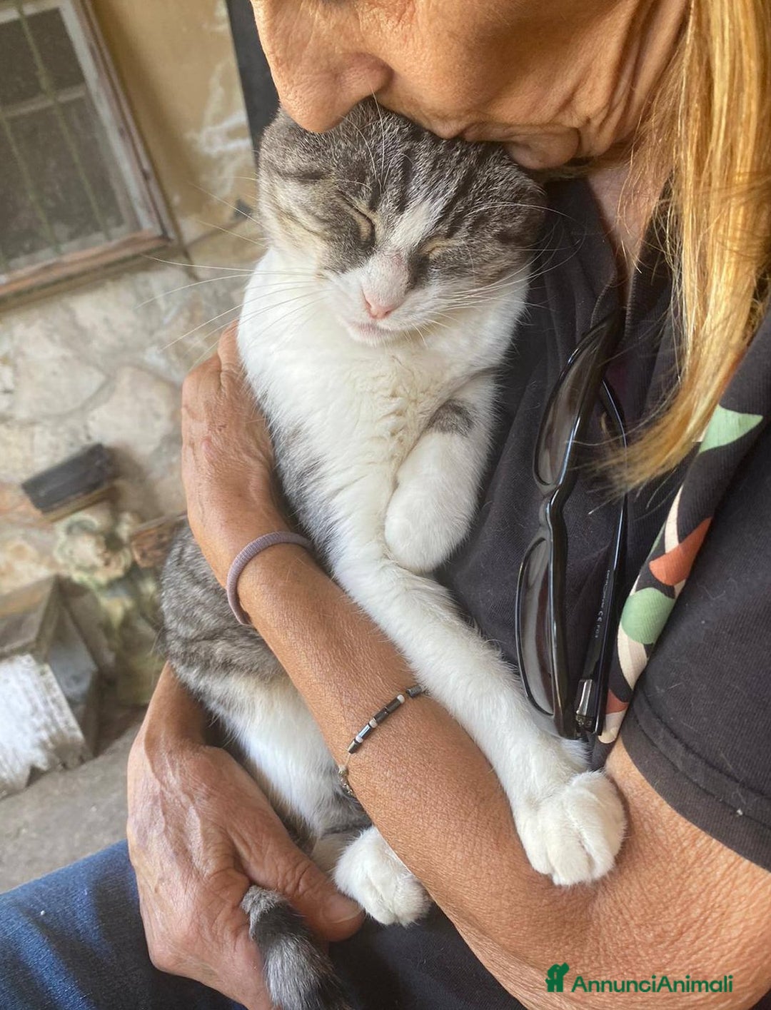 Europeo gatti in regalo: Dolce micia da adottare, LICIA! - Annuncio 3