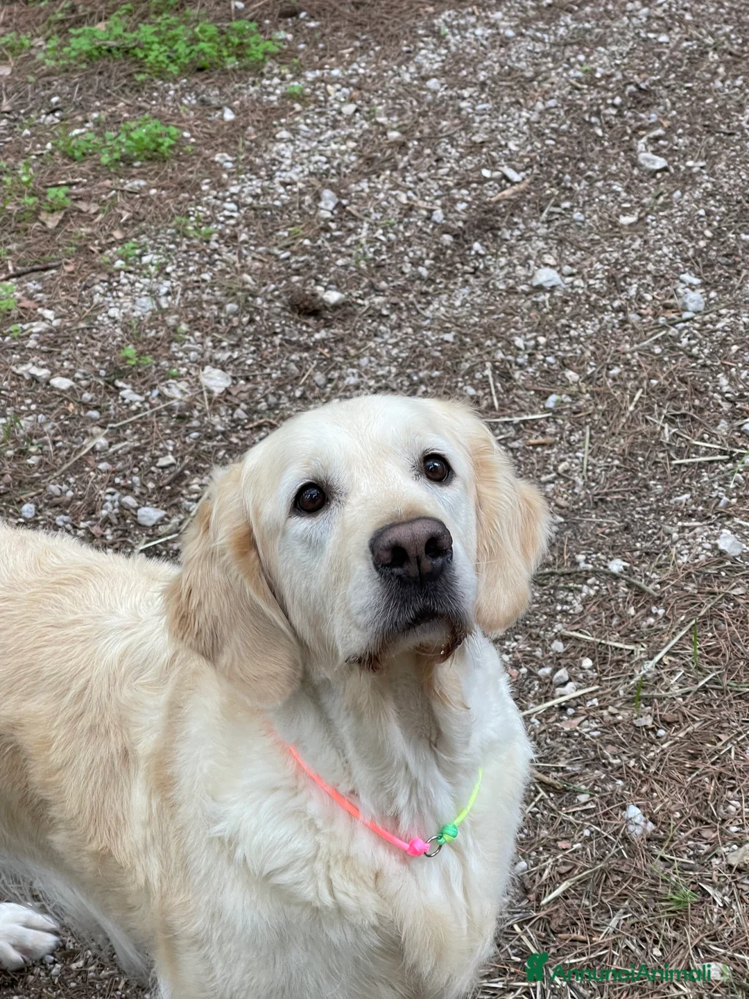 Immagine della galleria {{count}}