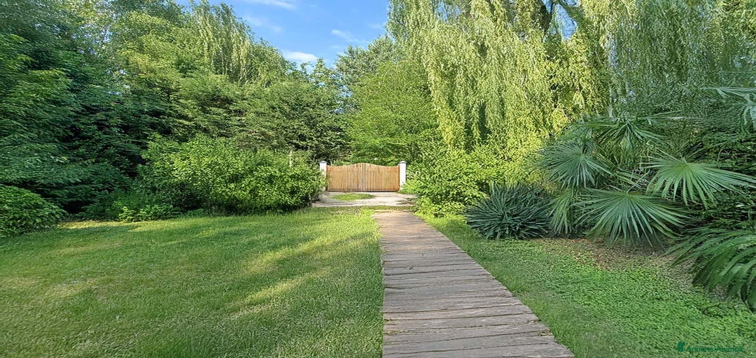 Immagine della galleria {{count}}