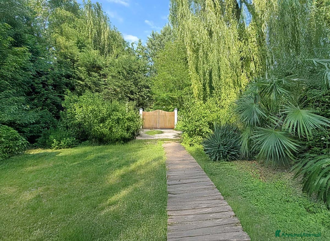 Immagine della galleria {{count}}