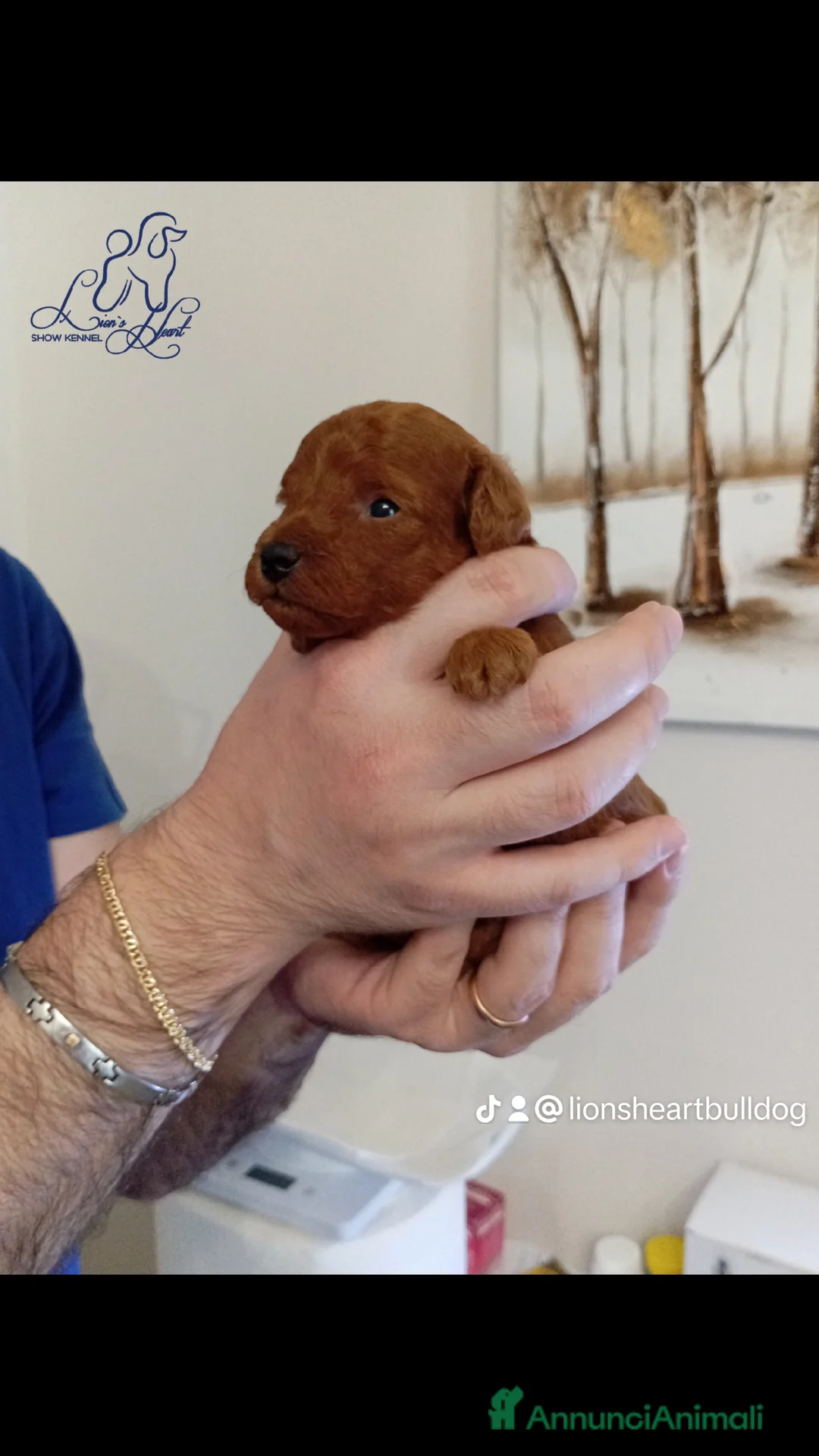 Immagine della galleria {{count}}