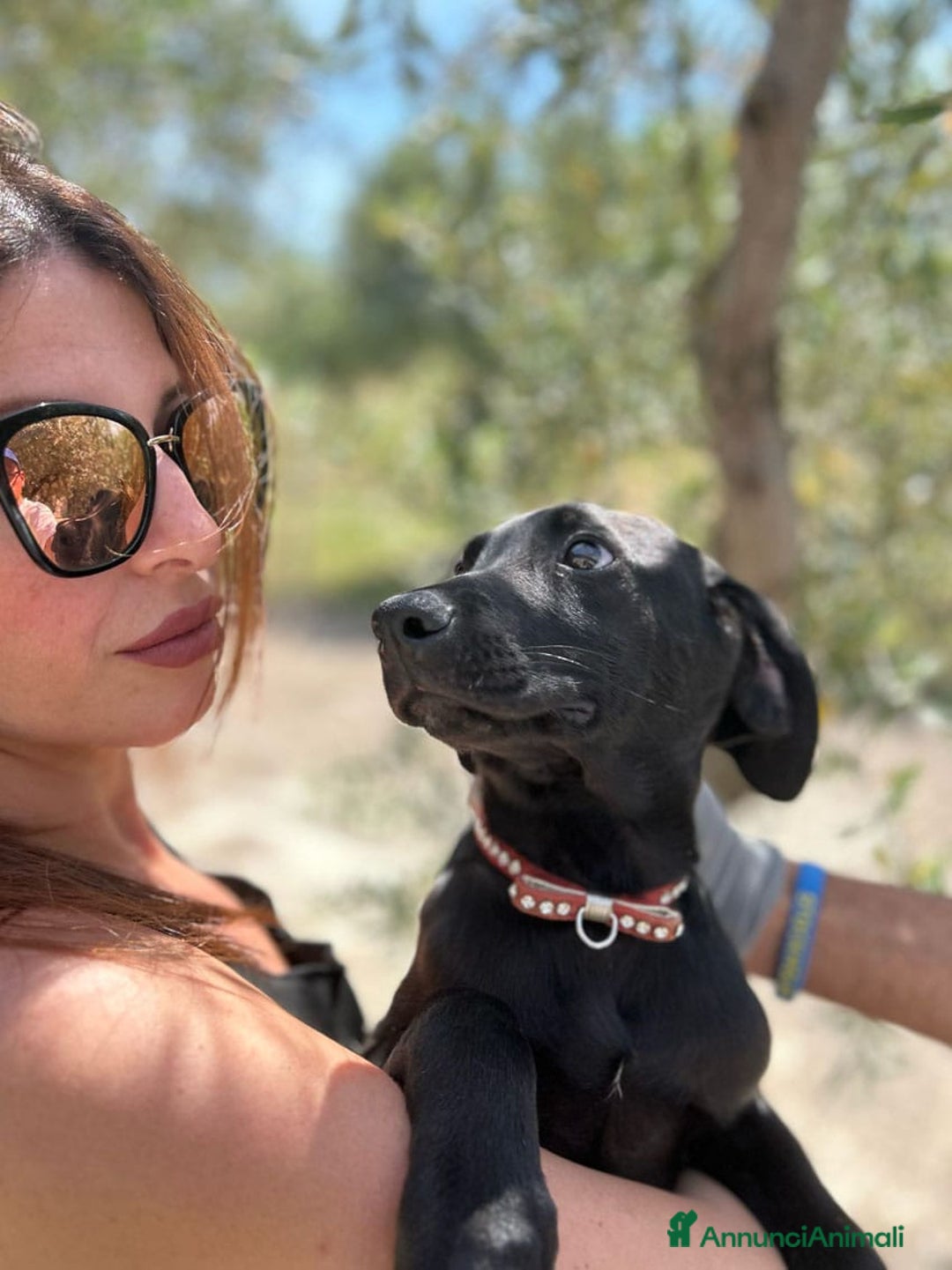 Meticcio cani in regalo: 8 cuccioli da salvare, 4 mesi: Gohan, Goku, ... a Provincia di Bergamo - Immagine 22