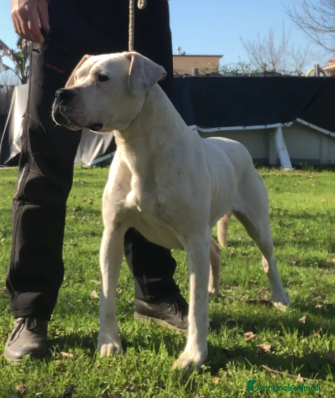 Immagine della galleria {{count}}