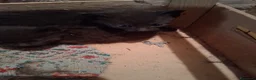 Meticcio gatti in regalo: Taurisano (LE)  Gattini neri i regalo cercano casa - Annuncio 4