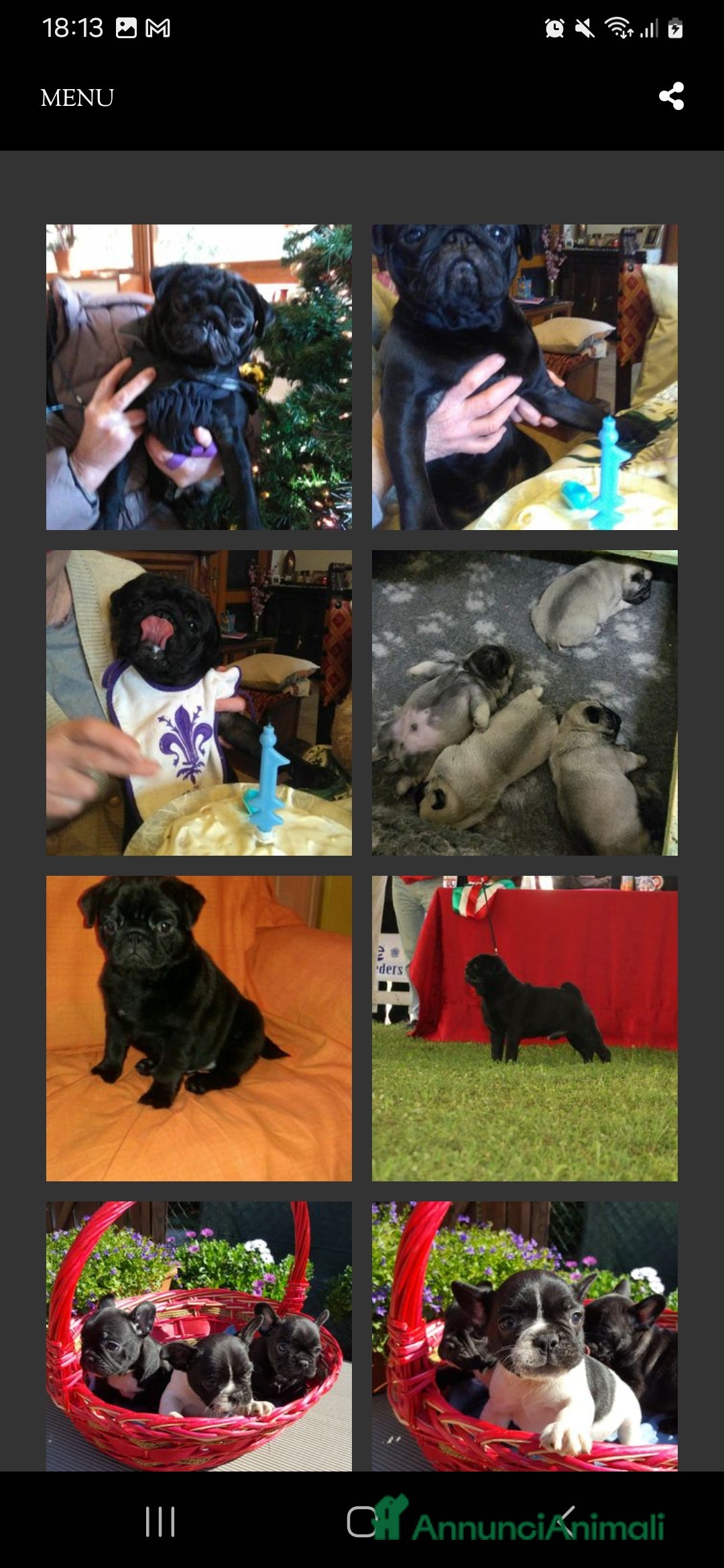 Immagine della galleria {{count}}