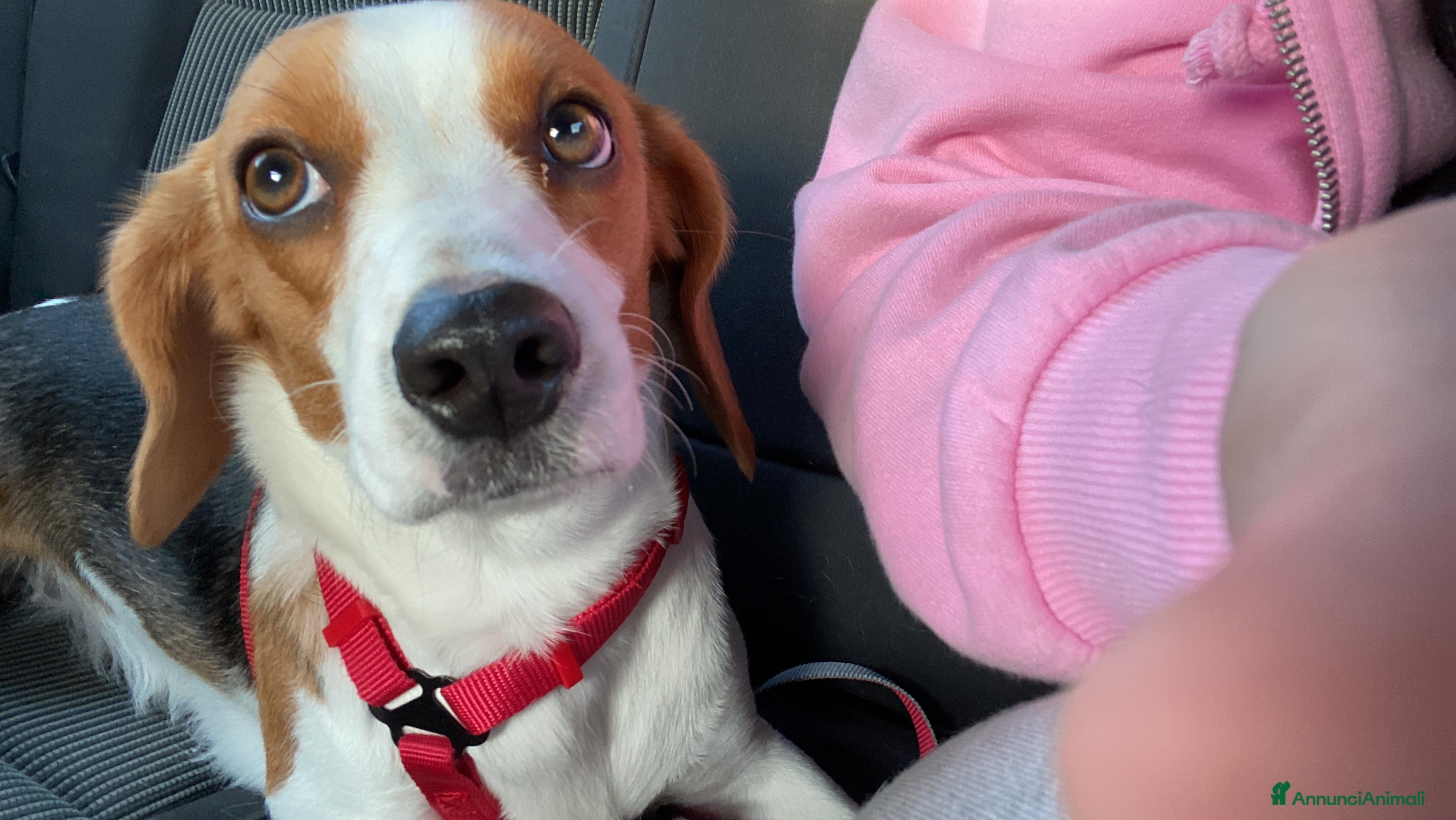 Dea
