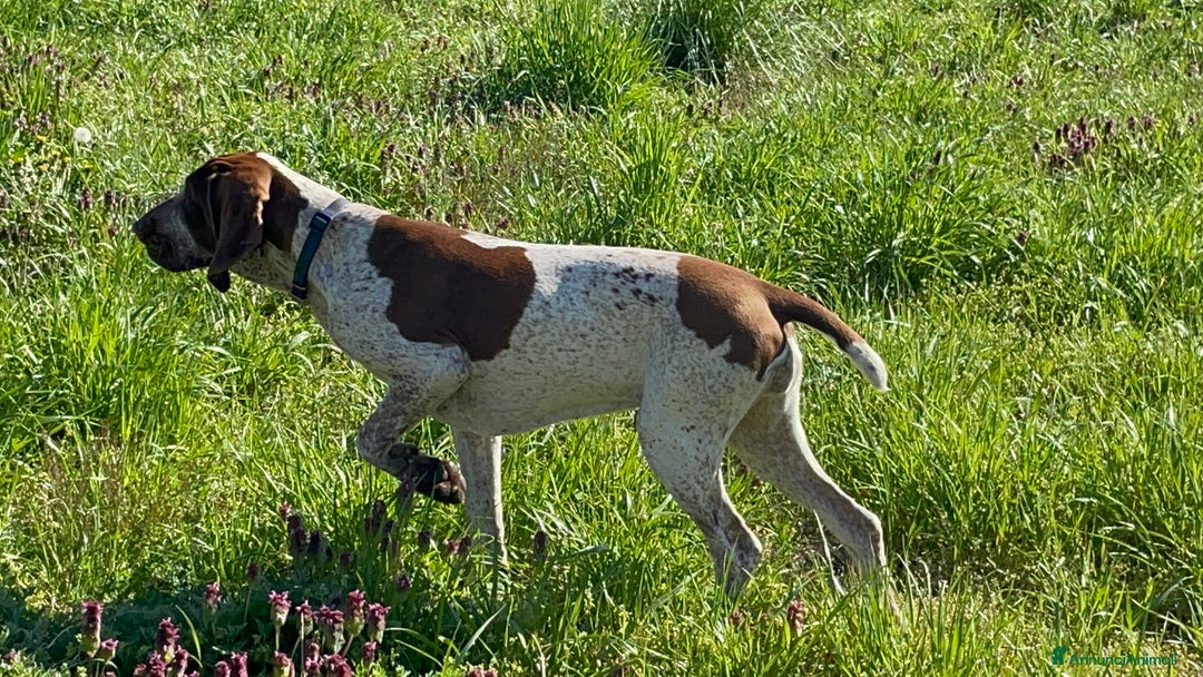 Immagine della galleria {{count}}