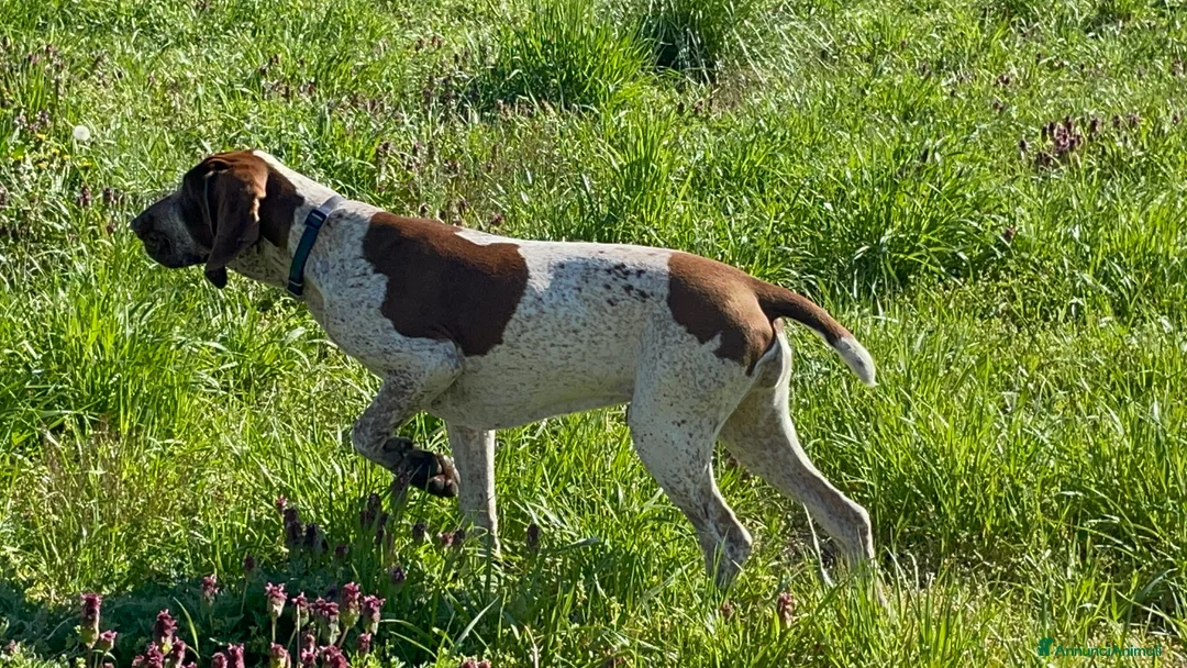 Immagine della galleria {{count}}