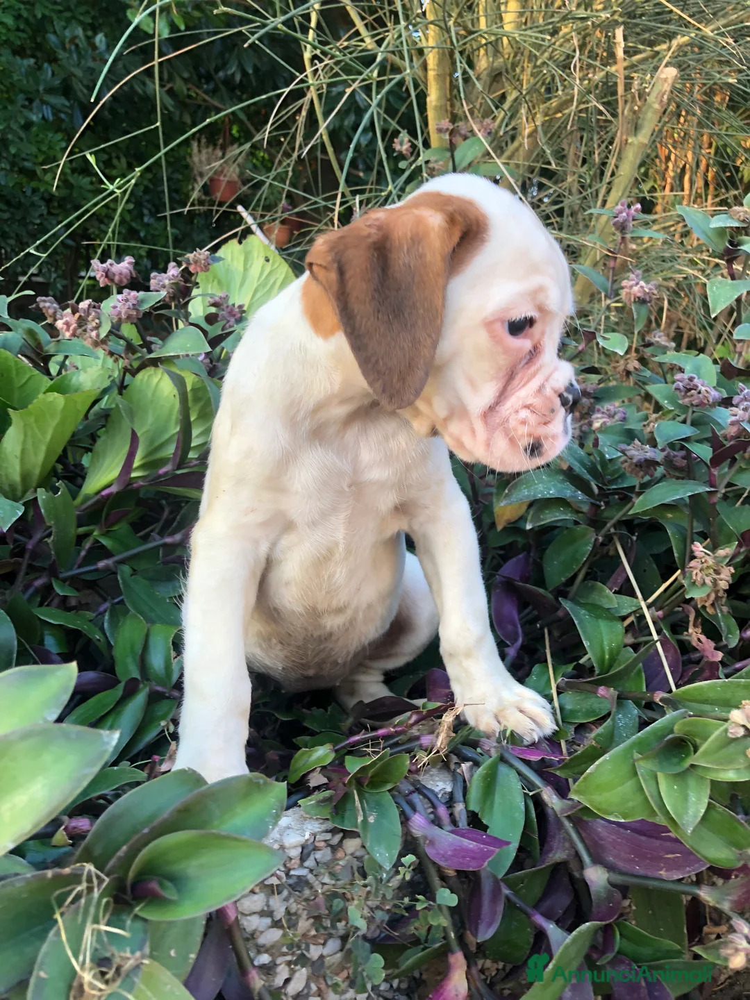 Immagine della galleria {{count}}