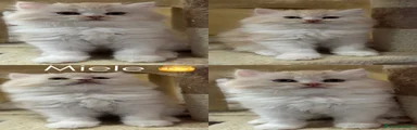 Persiano 2