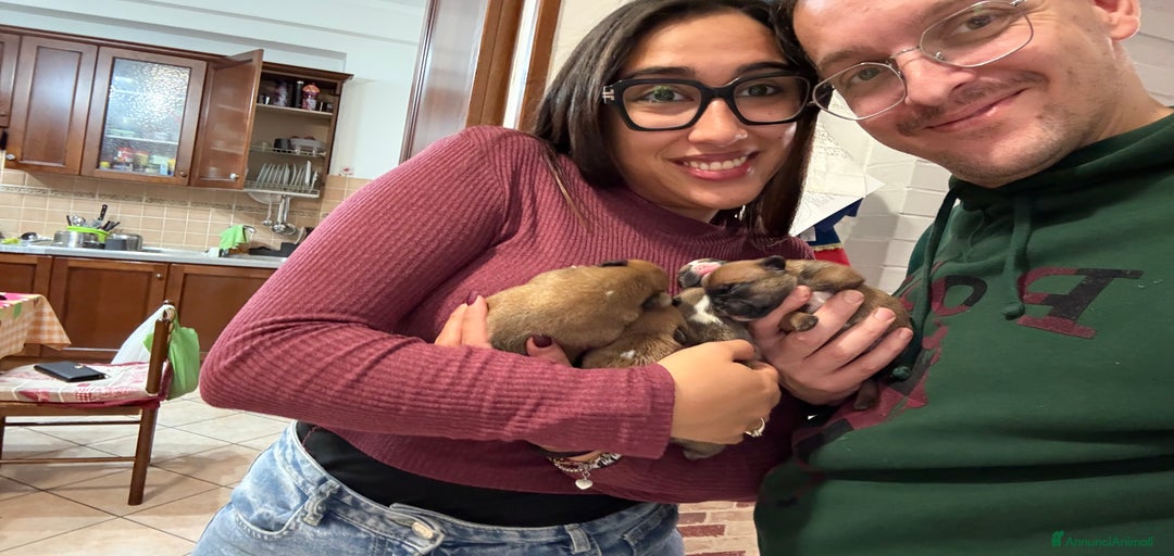 Immagine della galleria {{count}}