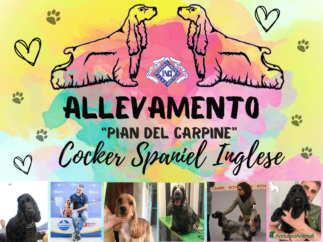 Immagine della galleria {{count}}