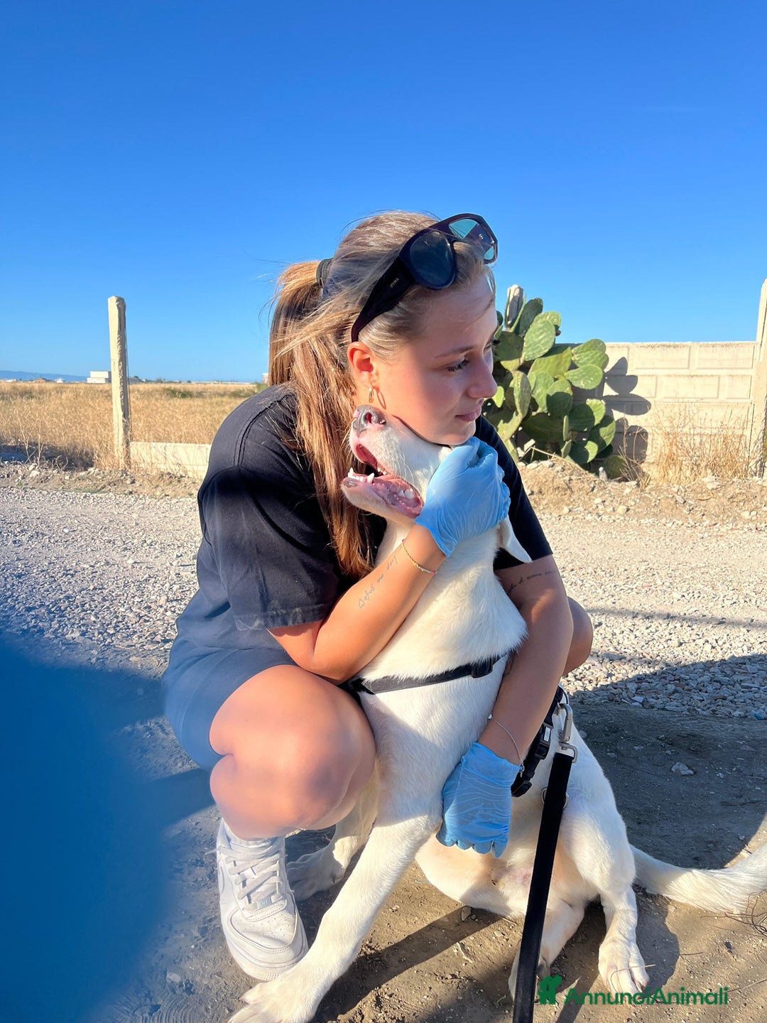 Altre razze cani in regalo: CHUCK – Cucciolo buono e socievole - Annuncio 6