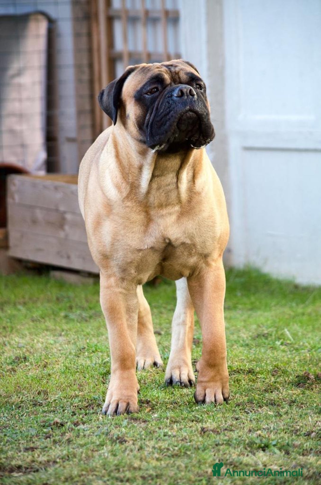 Immagine della galleria {{count}}