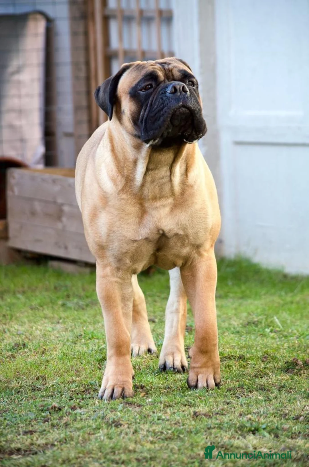 Immagine della galleria {{count}}