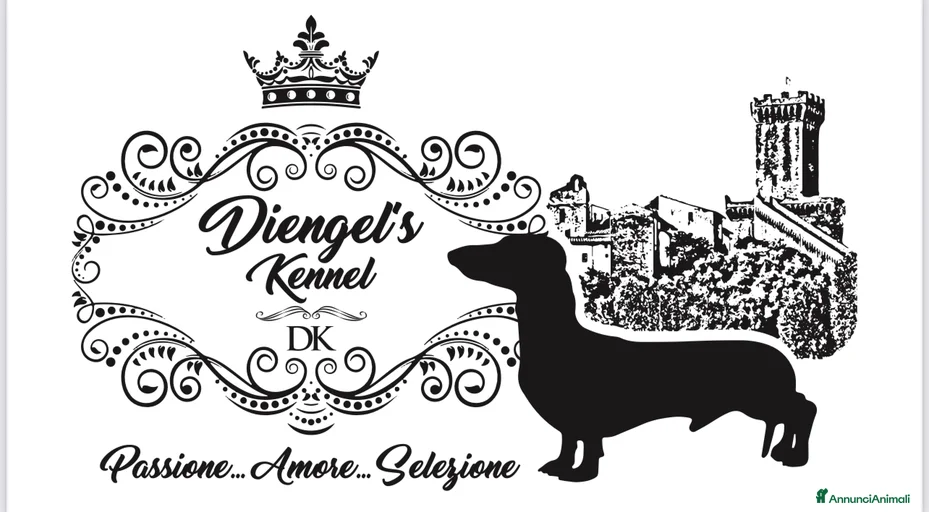 Immagine della galleria {{count}}