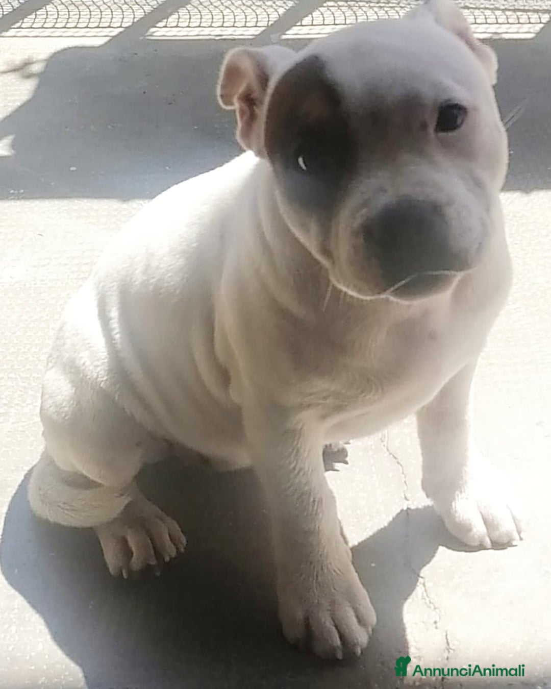 Immagine della galleria {{count}}