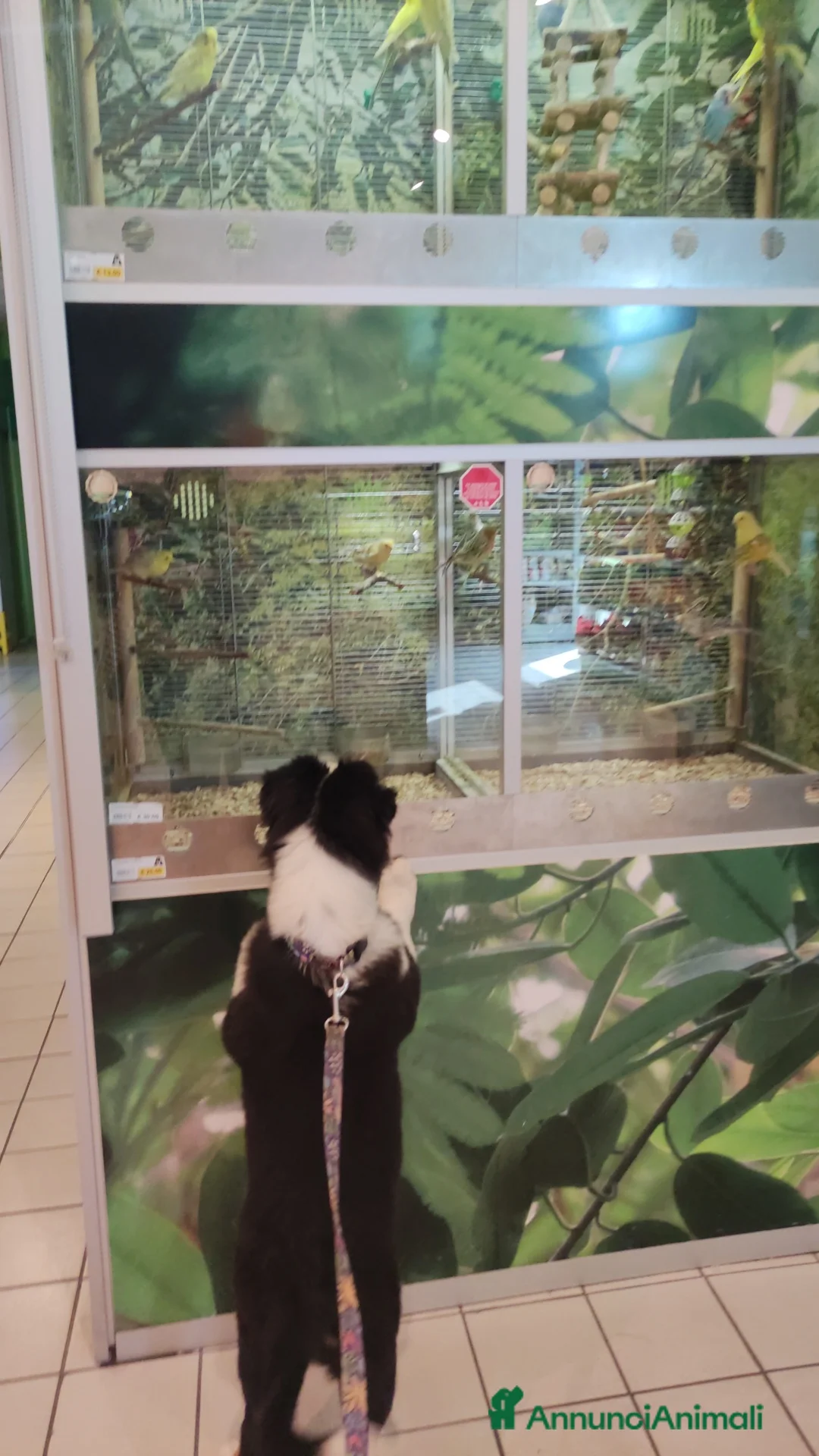 Immagine della galleria {{count}}