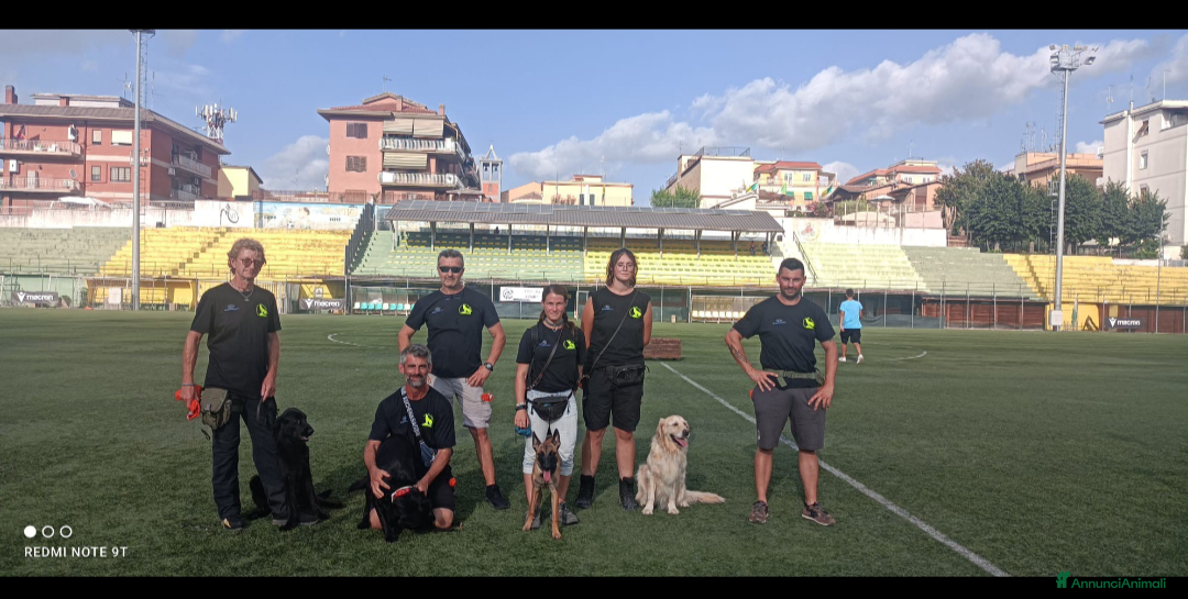 Immagine della galleria {{count}}