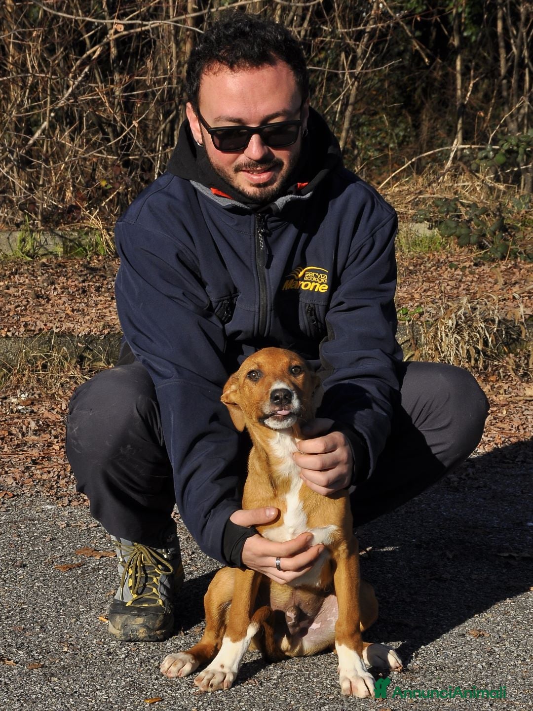 Altre razze cani in regalo: osmar - Annuncio 5