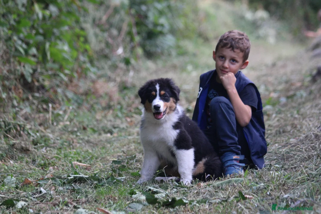 Immagine della galleria {{count}}