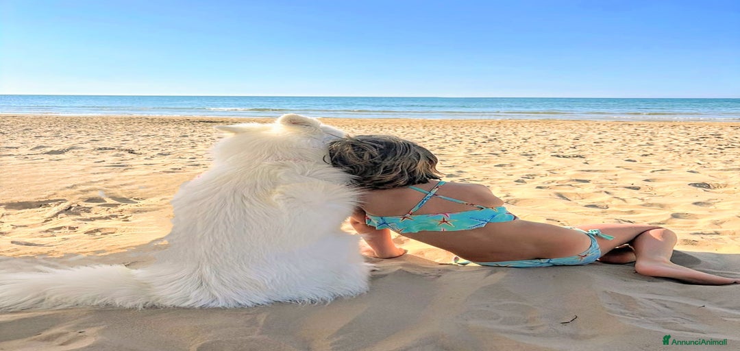 Immagine della galleria {{count}}