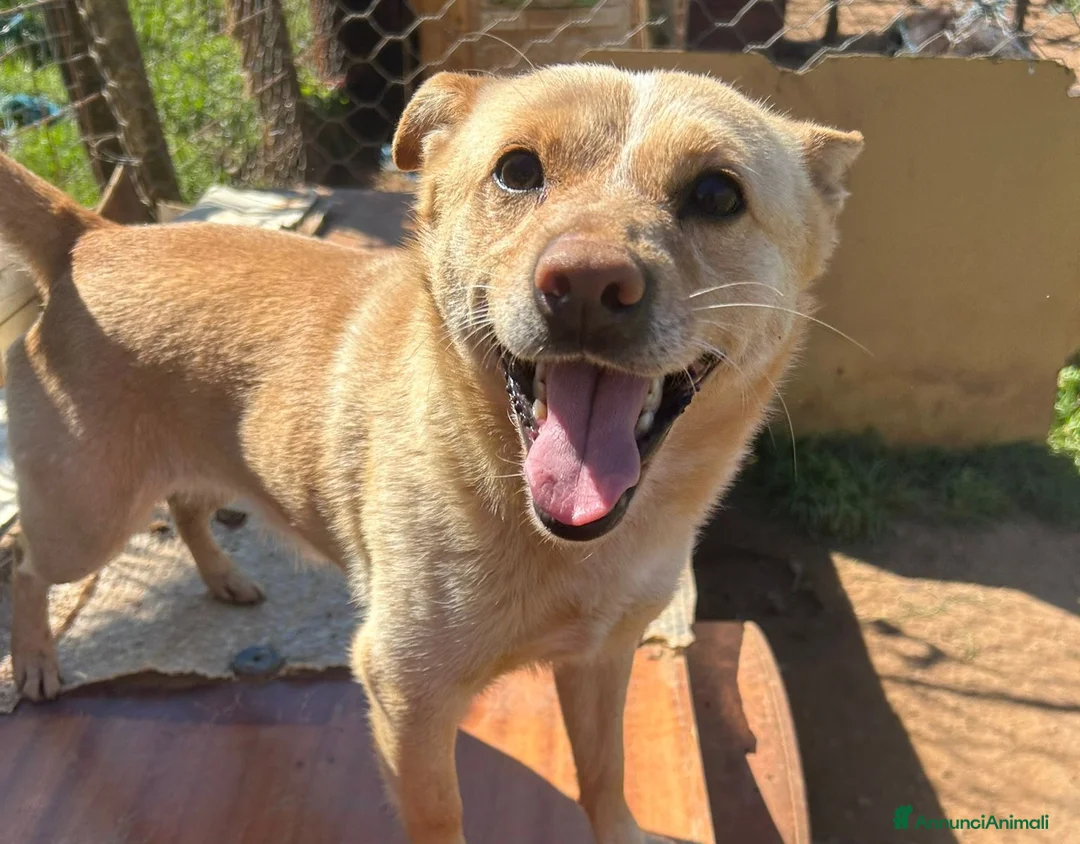 Immagine della galleria {{count}}