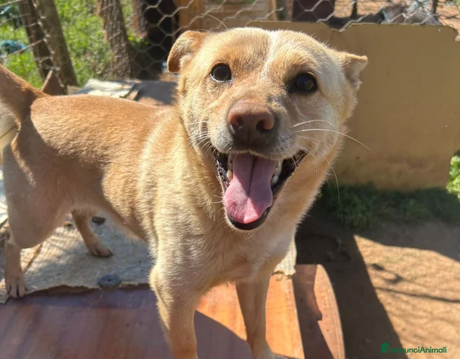 Immagine della galleria {{count}}