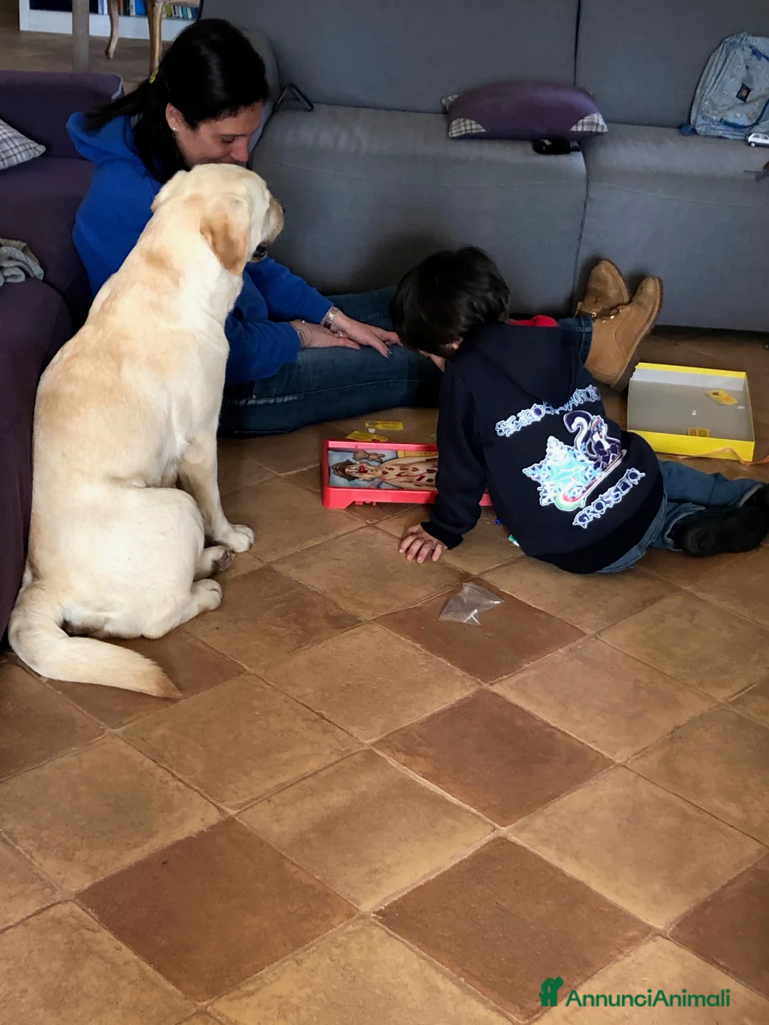 Immagine della galleria {{count}}