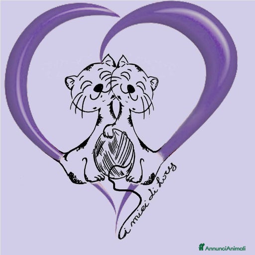 Immagine della galleria {{count}}