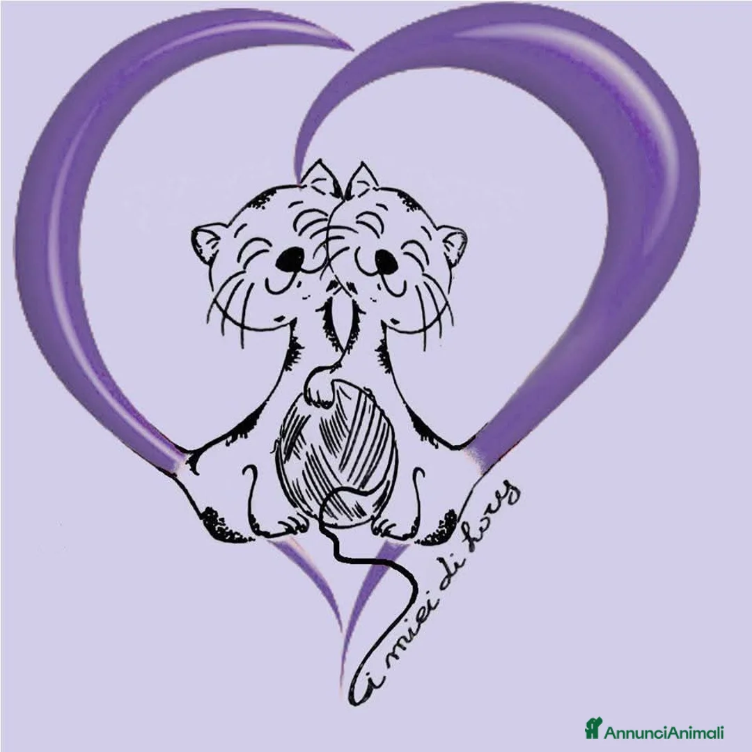 Immagine della galleria {{count}}