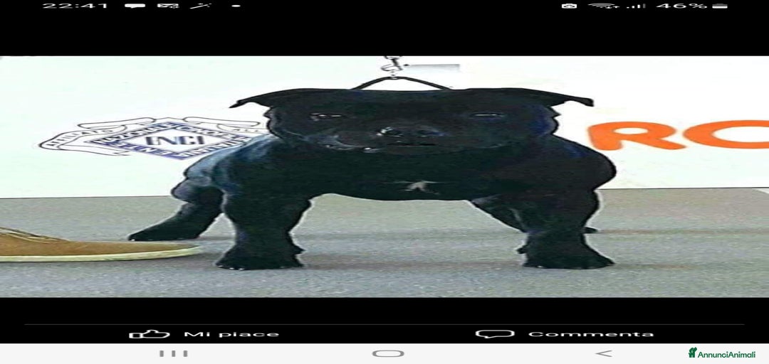 Immagine della galleria {{count}}