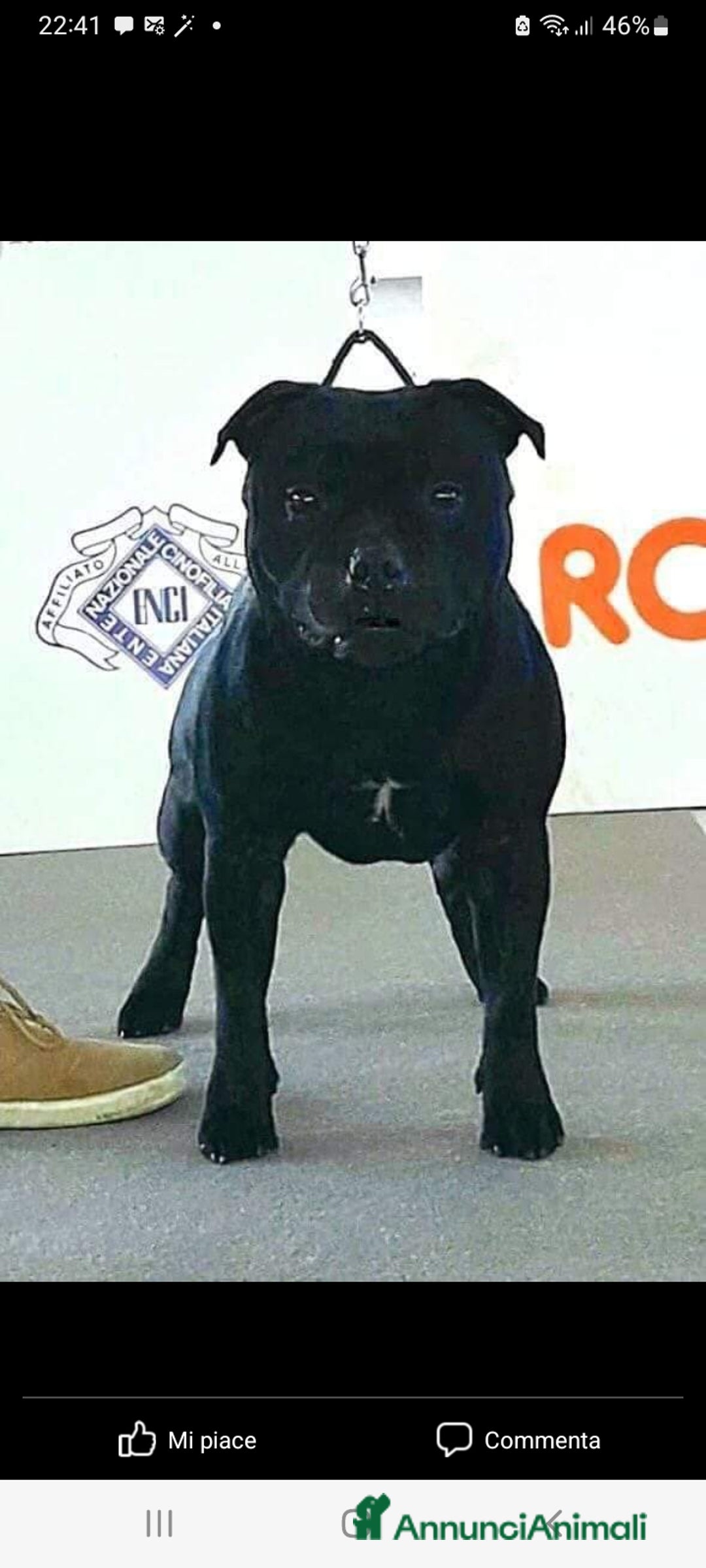 Immagine della galleria {{count}}