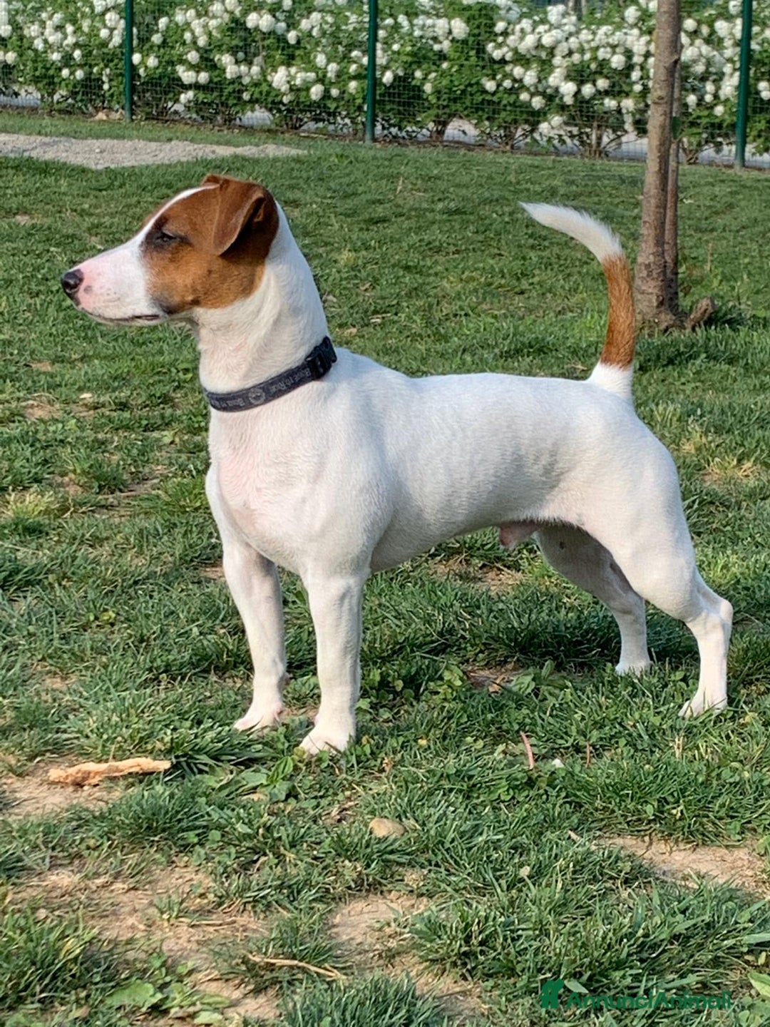 Immagine della galleria {{count}}