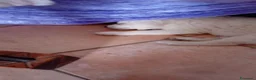 Pastore Abbruzzese Maremmano cani in regalo: Cuccioli di pastore maremmano a Città metropolitana di Sassari - Annuncio 5