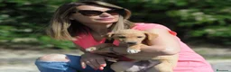Meticcio cani in regalo: LUNA   - Annuncio 4