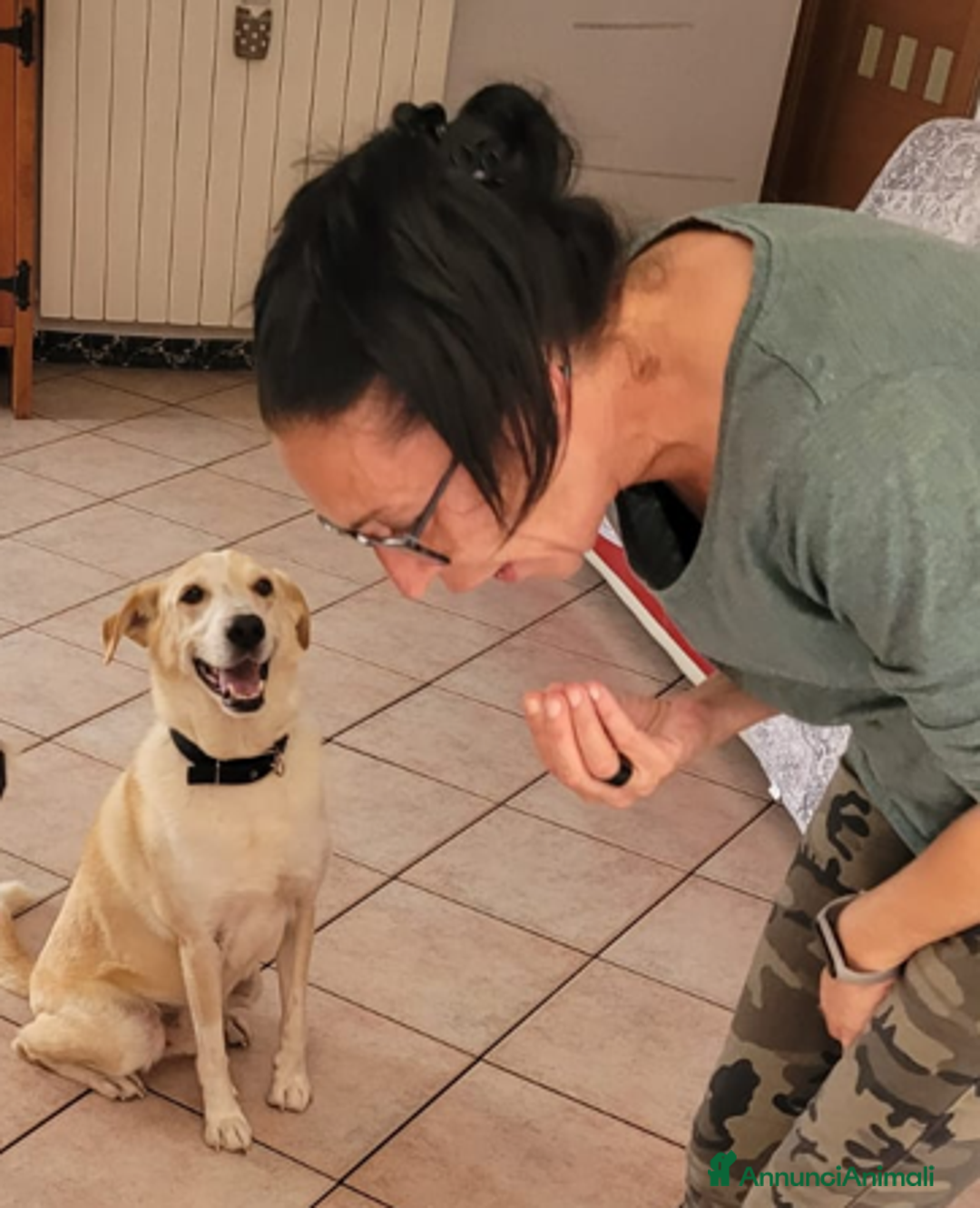 Meticcio cani in regalo: Splendido meticcio - CHARLIE - Annuncio 3