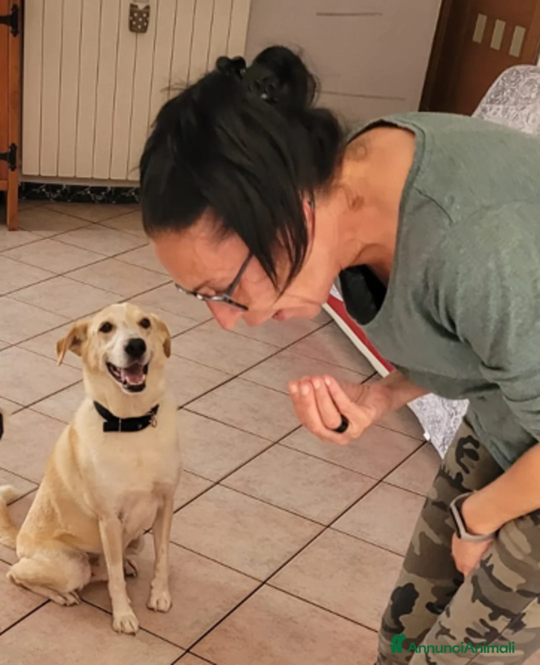 Meticcio cani in regalo: Splendido meticcio - CHARLIE - Annuncio 5