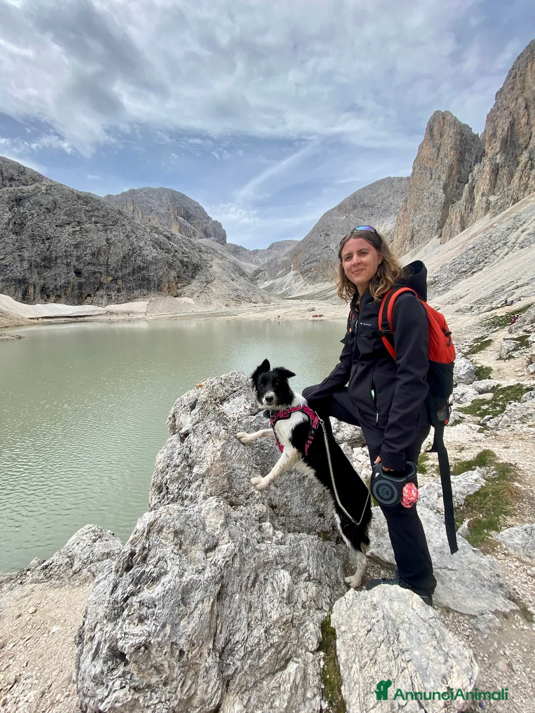 Border Collie cani per accoppiamento: Yuma cerca un fidanzato - Annuncio 3