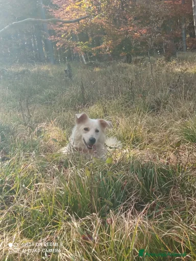 Immagine della galleria {{count}}