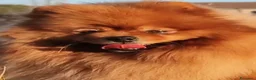 Spitz cani in vendita: Spitz di Pomerania nano - Annuncio 6