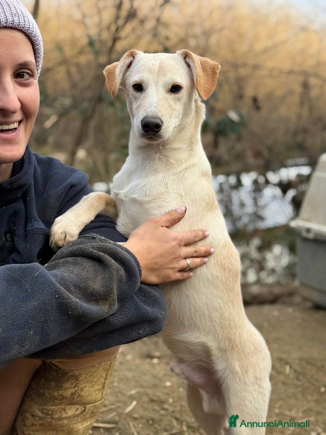 Meticcio cani in regalo: NERO, cucciolo dimenticato. Tg MEDIO PICCOLA - Annuncio 6