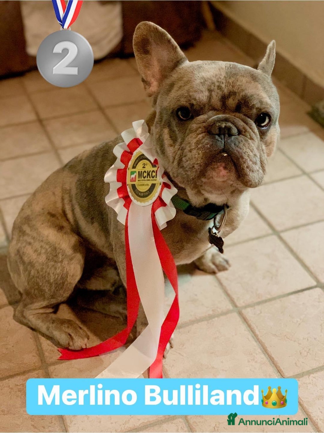 Immagine della galleria {{count}}