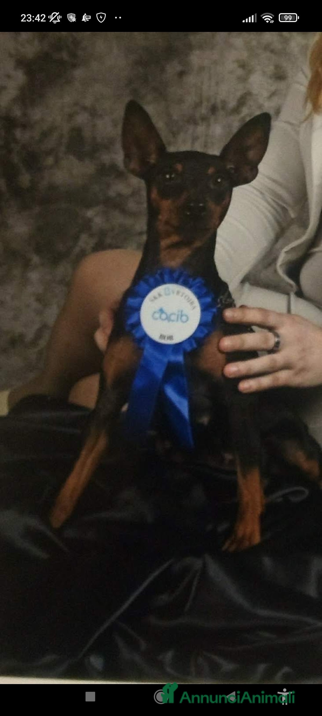 Immagine della galleria {{count}}